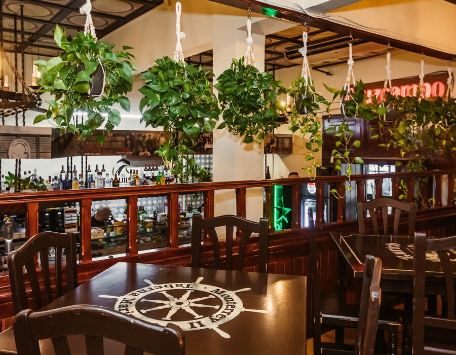 Sala de Macaméu II con las plantas colgantes y la barra